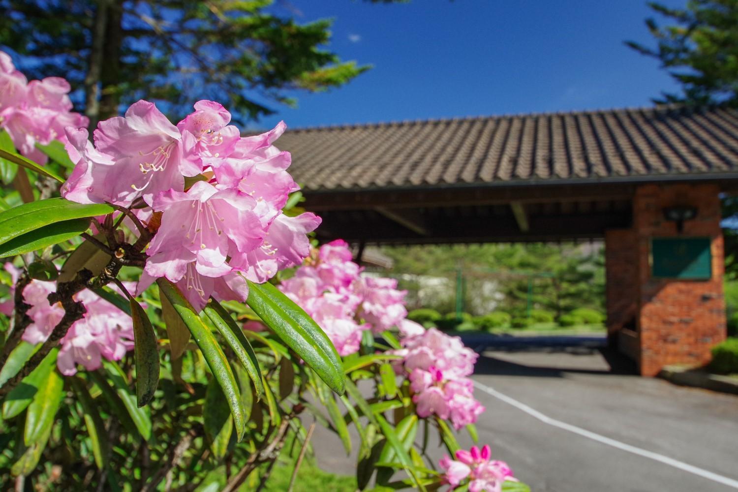 Tsumagoi Prince Hotel Buitenkant foto